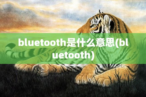 bluetooth是什么意思(bluetooth)