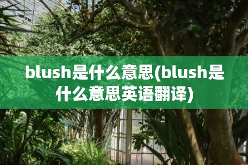 blush是什么意思(blush是什么意思英语翻译)