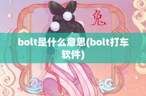 bolt是什么意思(bolt打车软件)