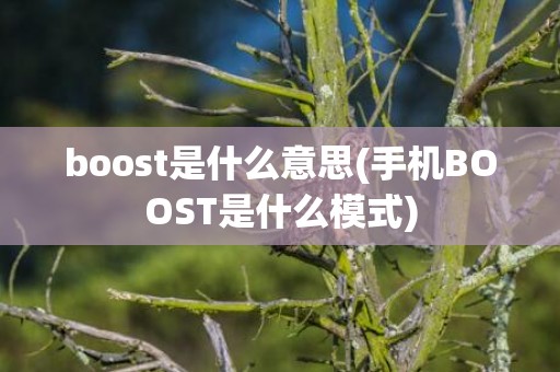 boost是什么意思(手机BOOST是什么模式)