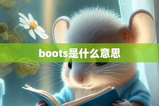 boots是什么意思