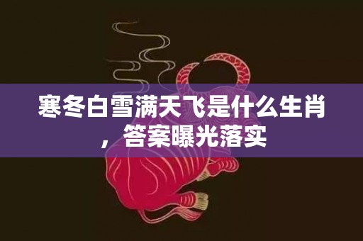 寒冬白雪满天飞是什么生肖，答案曝光落实