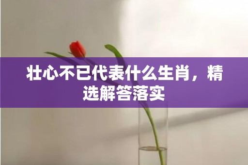 壮心不已代表什么生肖，精选解答落实