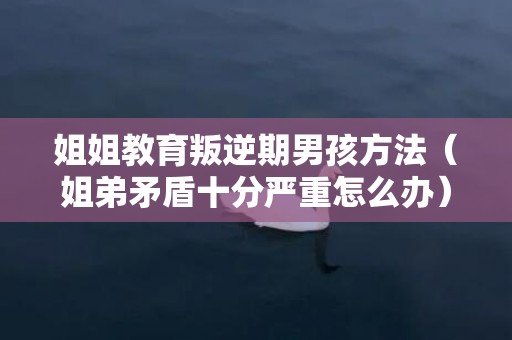 姐姐教育叛逆期男孩方法（姐弟矛盾十分严重怎么办）