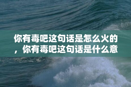 你有毒吧这句话是怎么火的，你有毒吧这句话是什么意思