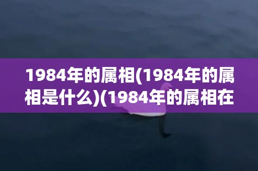 1984年的属相(1984年的属相是什么)(1984年的属相在11月份财运咋样儿)