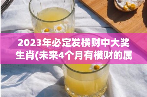 2023年必定发横财中大奖生肖(未来4个月有横财的属相)(2023年什么时候发寒假)