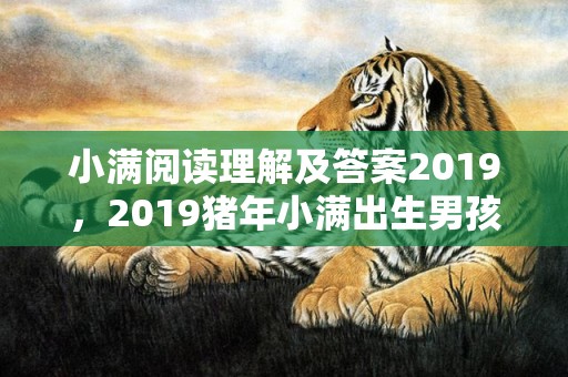 小满阅读理解及答案2019，2019猪年小满出生男孩起什么小名好听