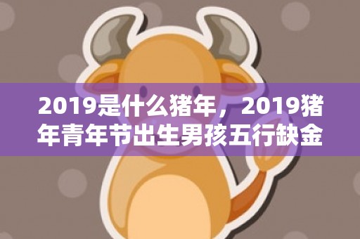 2019是什么猪年，2019猪年青年节出生男孩五行缺金怎么样起名字