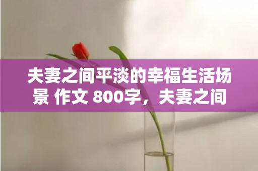 夫妻之间平淡的幸福生活场景 作文 800字，夫妻之间的平淡的句子