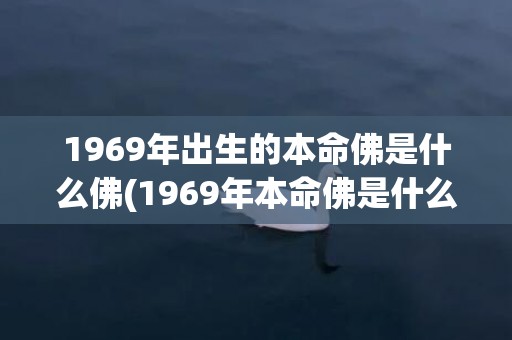 1969年出生的本命佛是什么佛(1969年本命佛是什么佛)(1969年出生的名人)