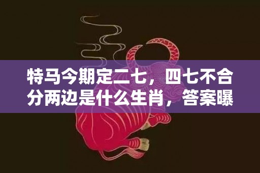 特马今期定二七，四七不合分两边是什么生肖，答案曝光落实