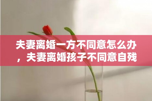 夫妻离婚一方不同意怎么办，夫妻离婚孩子不同意自残如果要调解该怎么调解？夫妻离婚一方不同意怎么办