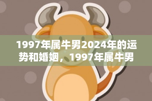 1997年属牛男2024年的运势和婚姻，1997年属牛男婚姻状况