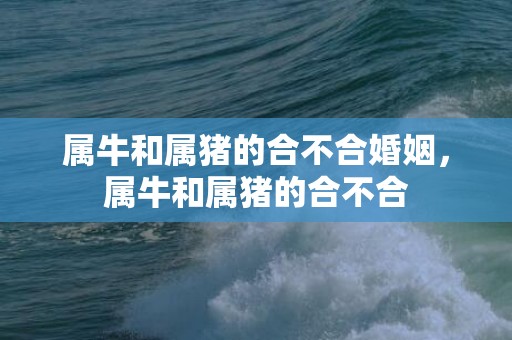 属牛和属猪的合不合婚姻，属牛和属猪的合不合