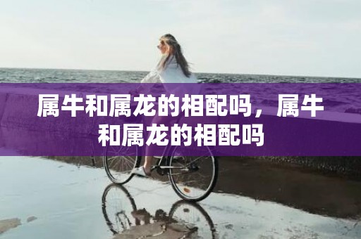 属牛和属龙的相配吗，属牛和属龙的相配吗