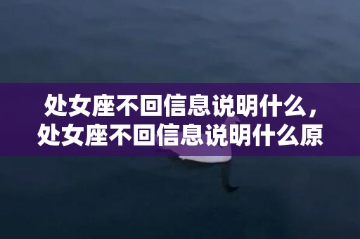 处女座不回信息说明什么，处女座不回信息说明什么原因