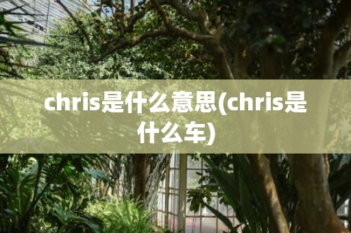 chris是什么意思(chris是什么车)