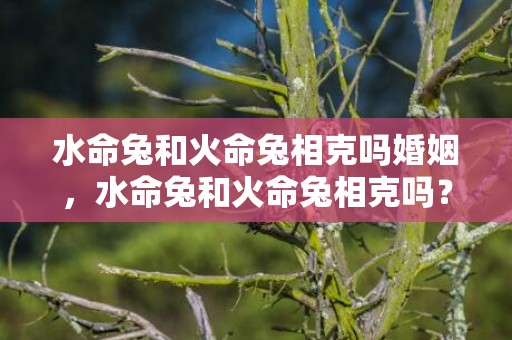 水命兔和火命兔相克吗婚姻，水命兔和火命兔相克吗？