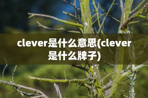 clever是什么意思(clever是什么牌子)