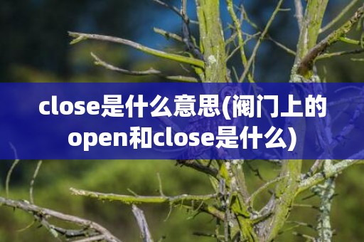 close是什么意思(阀门上的open和close是什么)