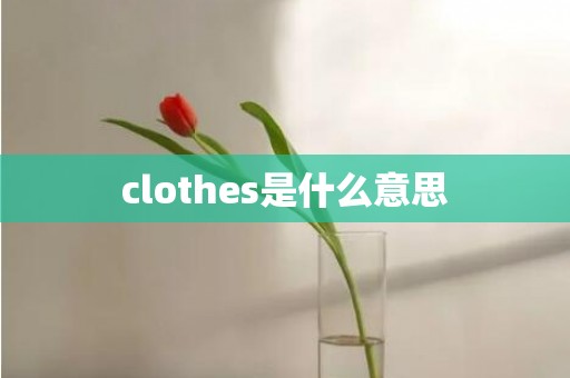 clothes是什么意思