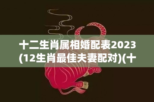 十二生肖属相婚配表2023(12生肖最佳夫妻配对)(十二生肖属相婚配表蛇)