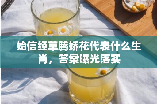 始信经草腾娇花代表什么生肖，答案曝光落实插图