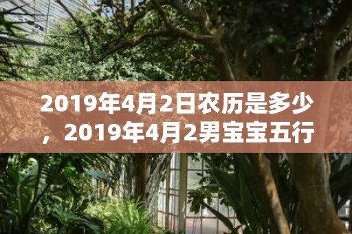 2019年4月2日农历是多少，2019年4月2男宝宝五行缺土男孩取名取什么名字好