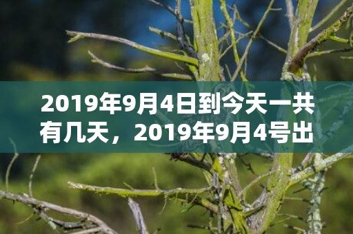 2019年9月4日到今天一共有几天，2019年9月4号出生的双胞胎男孩起什么名字比较好，五行属什么