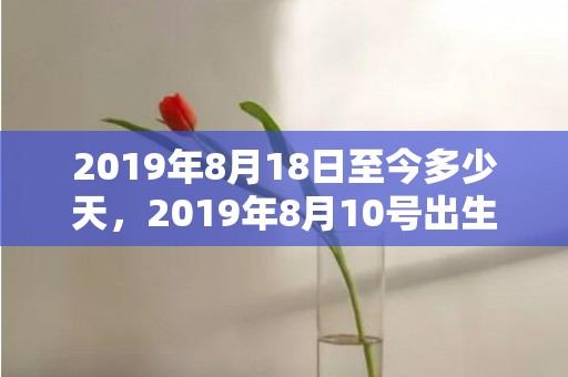 2019年8月18日至今多少天，2019年8月10号出生的双胞胎男孩怎么起名，五行属什么