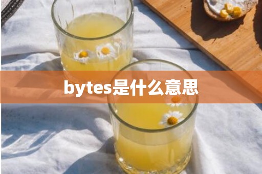 bytes是什么意思