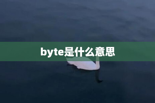 byte是什么意思