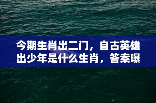 今期生肖出二门，自古英雄出少年是什么生肖，答案曝光落实