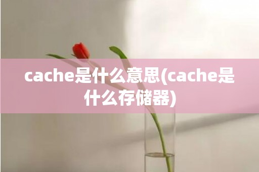 cache是什么意思(cache是什么存储器)