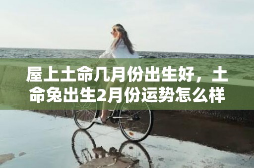 屋上土命几月份出生好，土命兔出生2月份运势怎么样？