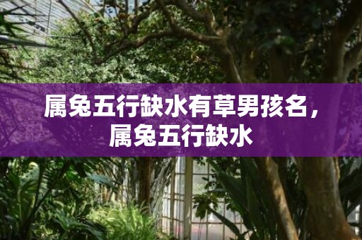 属兔五行缺水有草男孩名，属兔五行缺水