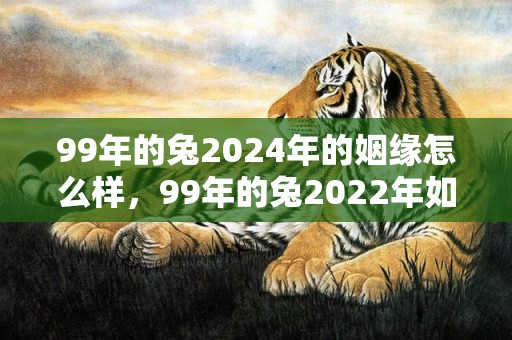 99年的兔2024年的姻缘怎么样，99年的兔2022年如何