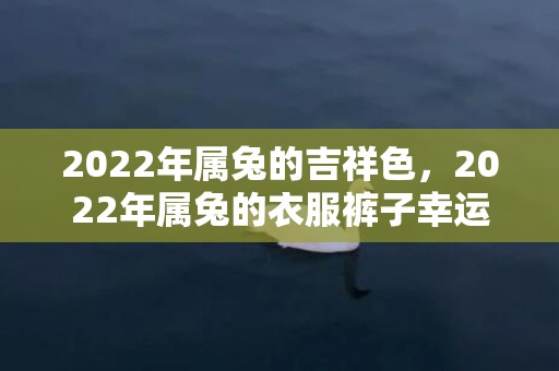 2022年属兔的吉祥色，2022年属兔的衣服裤子幸运色是啥