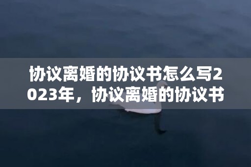 协议离婚的协议书怎么写2023年，协议离婚的协议书格式怎么写