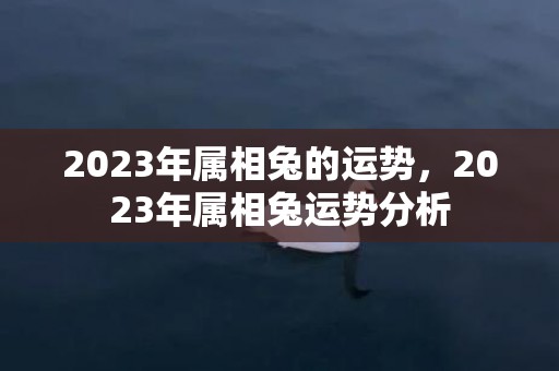 2023年属相兔的运势，2023年属相兔运势分析