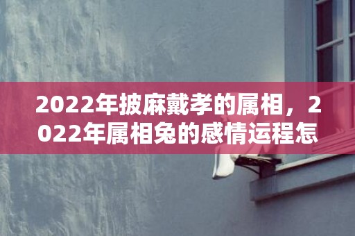 2022年披麻戴孝的属相，2022年属相兔的感情运程怎么样