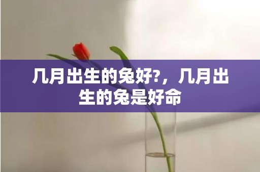 几月出生的兔好?，几月出生的兔是好命