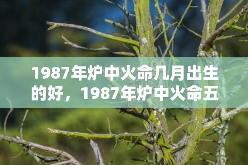 1987年炉中火命几月出生的好，1987年炉中火命五行缺什么