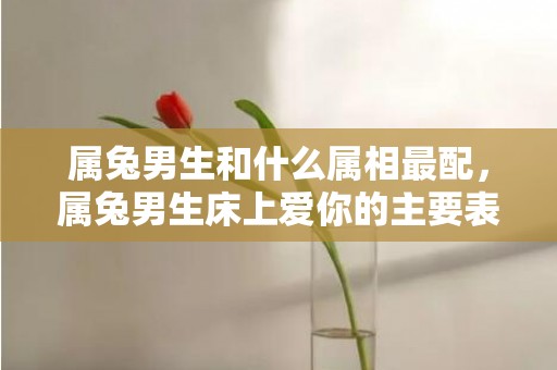 属兔男生和什么属相最配，属兔男生床上爱你的主要表现