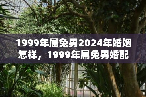 1999年属兔男2024年婚姻怎样，1999年属兔男婚配