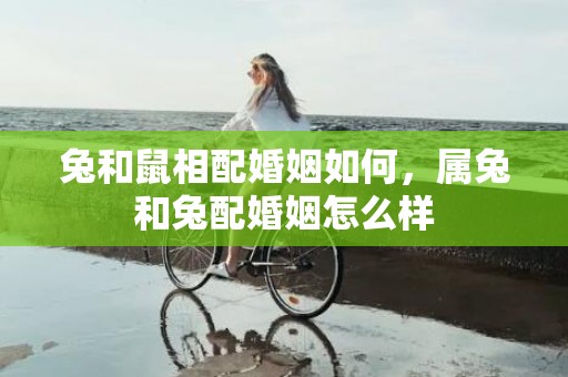 兔和鼠相配婚姻如何，属兔和兔配婚姻怎么样