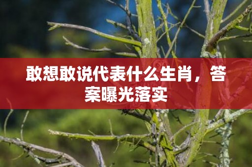 敢想敢说代表什么生肖，答案曝光落实