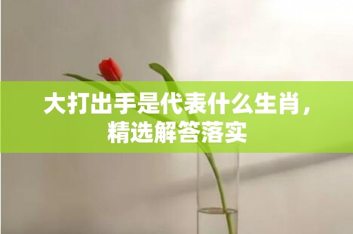 大打出手是代表什么生肖，精选解答落实