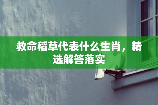 救命稻草代表什么生肖，精选解答落实